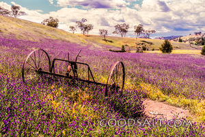 old farm machinery left in open