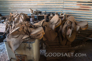 Old horse saddles.
