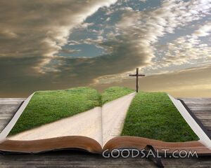 Open Bible Background