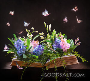 Open Book and Garden