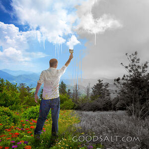 Painting the Landscape