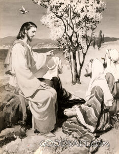 Parable of the Mustard Plant