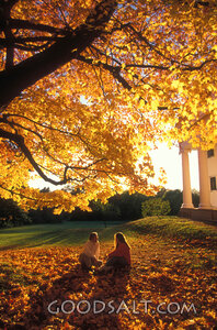 Two people sitting near a church and a large tree.