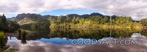 Perfect mirror reflection of forest covered banks of lake.