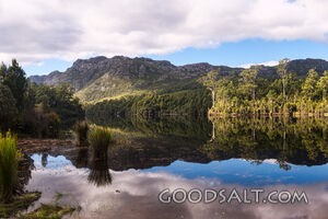 Perfect mirror reflection of forest covered banks of lake.