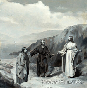 Peter Introduces Andrew to Jesus