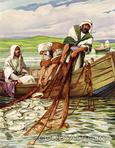 Peter's Act of Faith