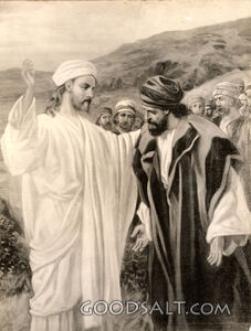 Peter's Great Confession