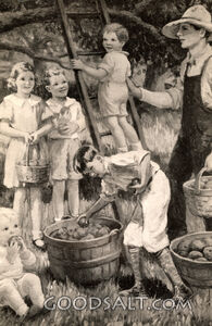 Picking Apples