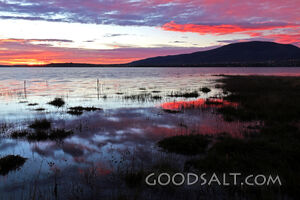 Pink Sunrise With Lake Reflections