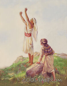 Praise God for His Fair Morning Light