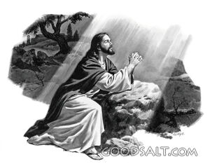 Prayer in the Garden