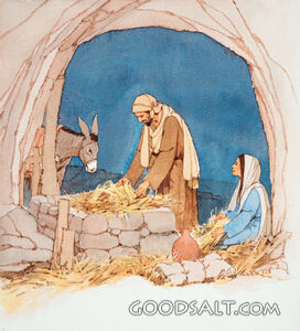 Preparing the Manger