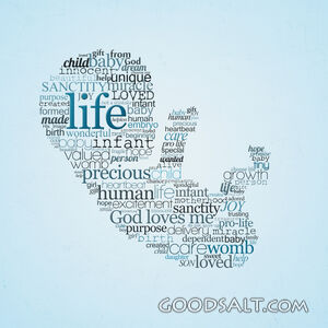 Pro Life Word Art