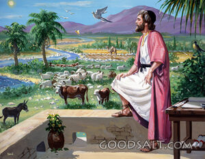 Psalmist and God's Creation