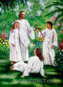 Relaxing in Paradise