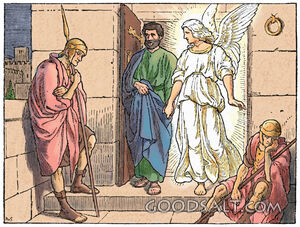 Released From Prison