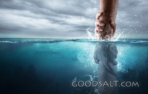 Rescued From Drowning