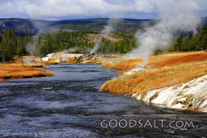 WYOMING. Yellowstone National Park. Steam vents along the Fi