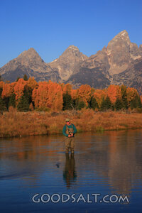 WYOMING. Teton National Park. Man fly fishing at Schwabacher