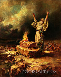 Samuel the Victorious Leader