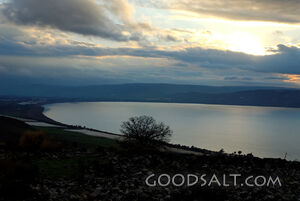 Sea of Galilee Southern End From East B