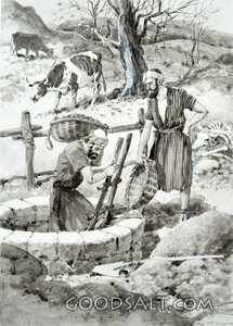 Searching for Water
