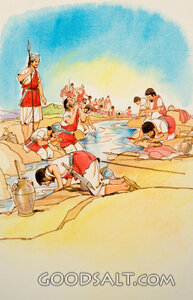 Selecting the 300