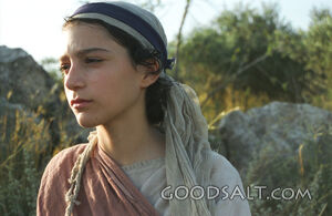 Servant in the Field