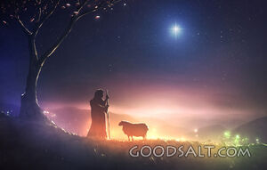 Shepherd and Star of Bethlehem
