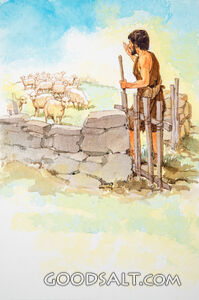 Shepherd in His Gate Calling His Sheep
