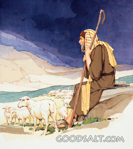Shepherd Watching His Flock