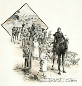 Shepherds and Their Flocks