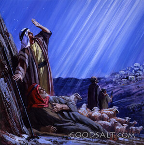 Shepherds in the Field