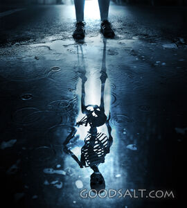 Skeleton Reflection in Puddle