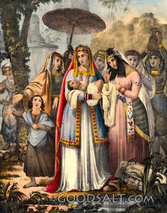 Baby Moses found by princess  in Egypt Nile River Miriam