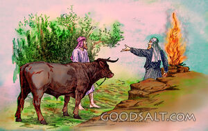 man brings gift sacrifice cow offering priest tells leave gift be reconciled to brother