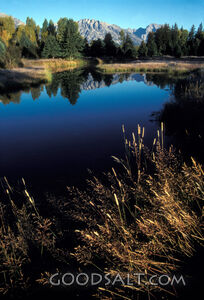 Snake River at Oxbow Bend, Grand Tetons National Park