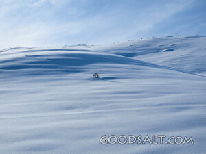 Snow Blanketed Hillside