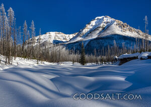 Soft Snow and Cold Mountain