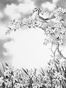 Spring Bird With Hat