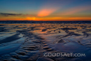 Standing in the Creek