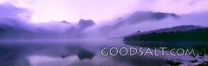 Still reflective lake with heavy pink fog at sunrise.