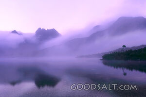 Still reflective lake with heavy pink fog at sunrise.