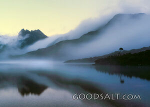 Still reflective lake with heavy pink fog at sunrise.