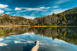 Still waters of lake reflect undergrowth and trees on other side.