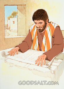 Studying the Scripture