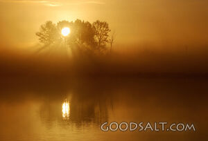 Sunrise God Rays at Fernhill