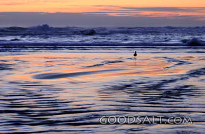 Sunset at the Beach