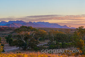 sunset orange glow and peaceful evening outback vista